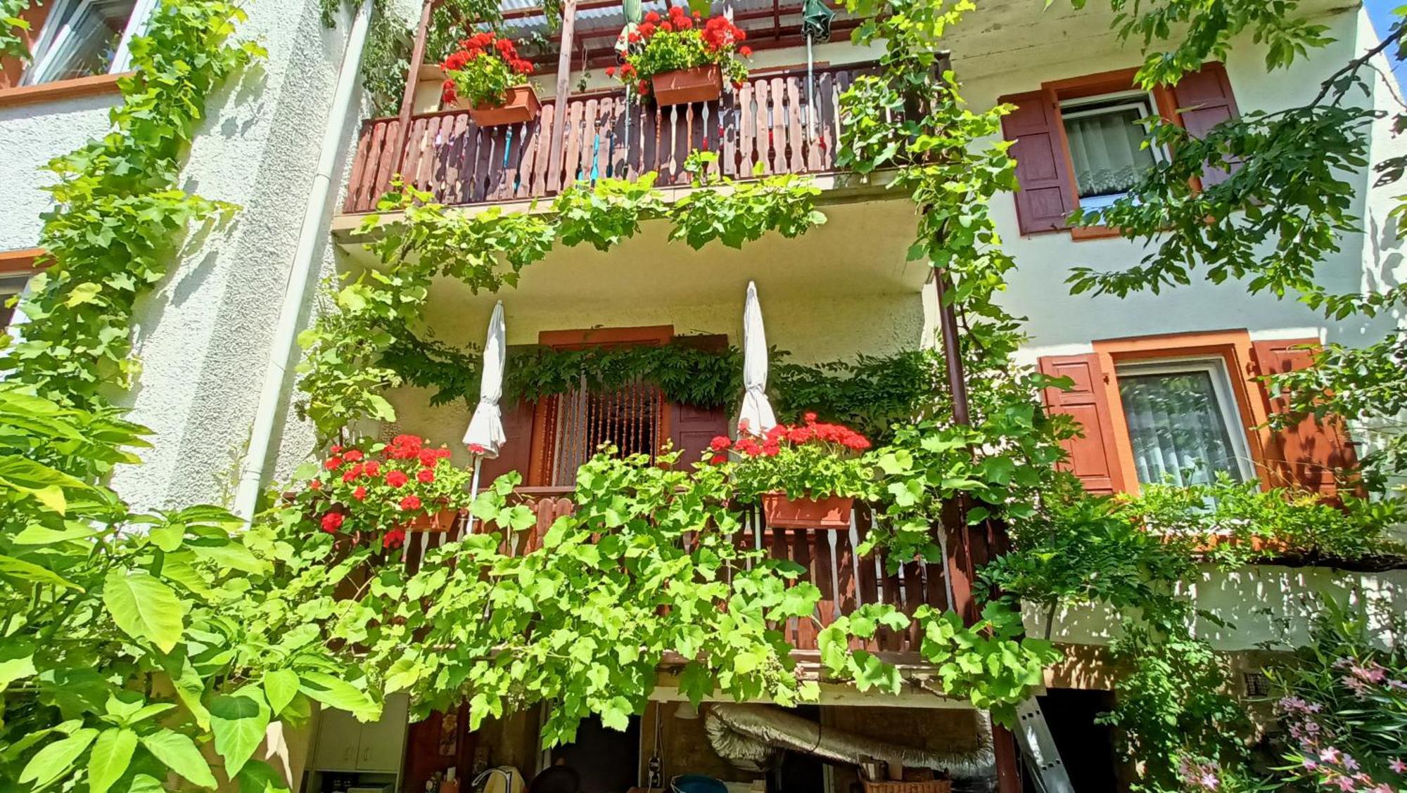 Urlaub Mit Charme In Der Kleinsten Stadt Der Pfalz. Obermoschel Kültér fotó
