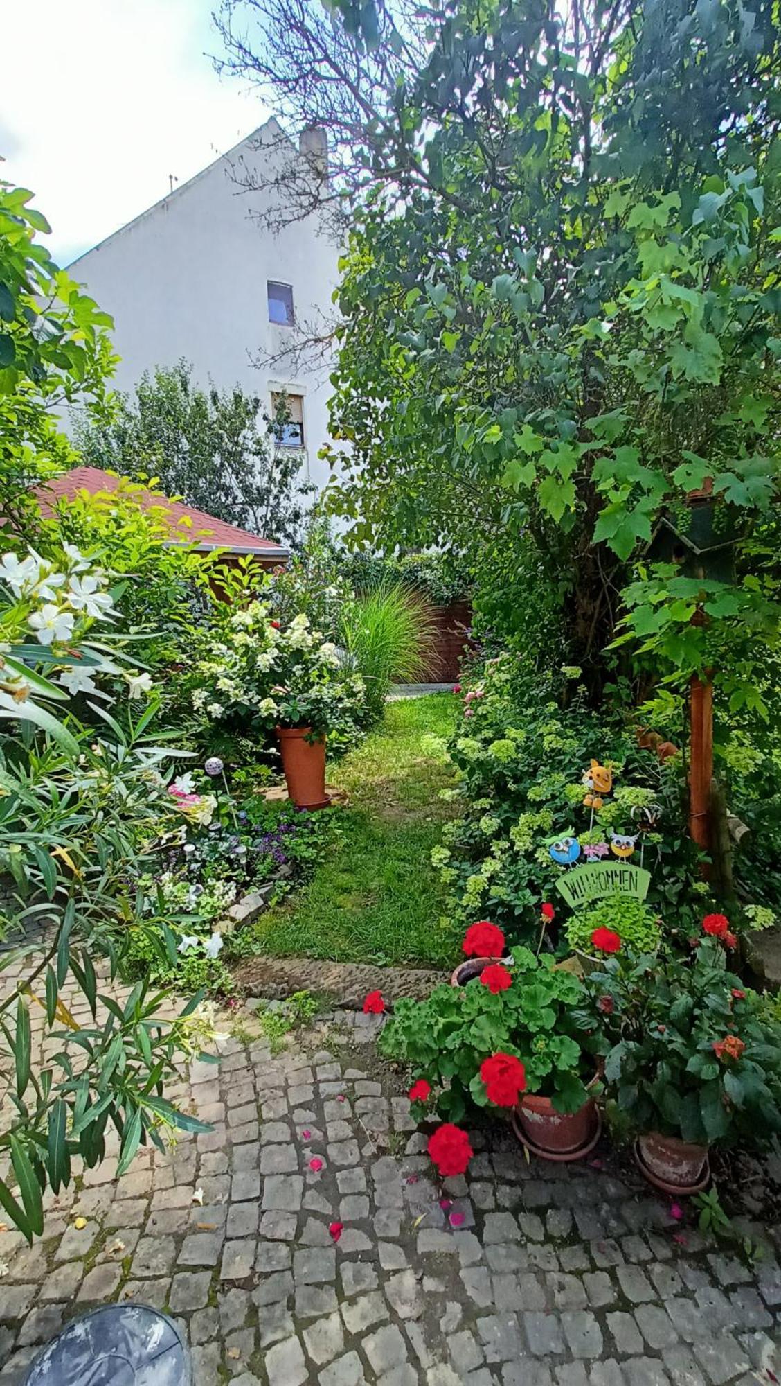 Urlaub Mit Charme In Der Kleinsten Stadt Der Pfalz. Obermoschel Kültér fotó