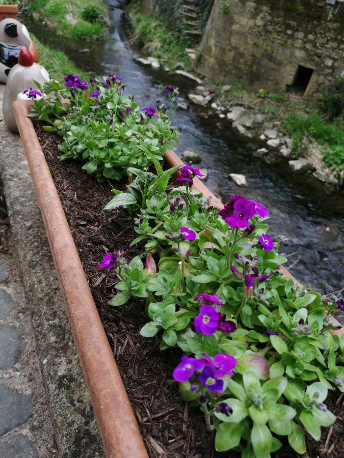 Urlaub Mit Charme In Der Kleinsten Stadt Der Pfalz. Obermoschel Kültér fotó