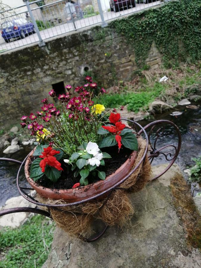 Urlaub Mit Charme In Der Kleinsten Stadt Der Pfalz. Obermoschel Kültér fotó